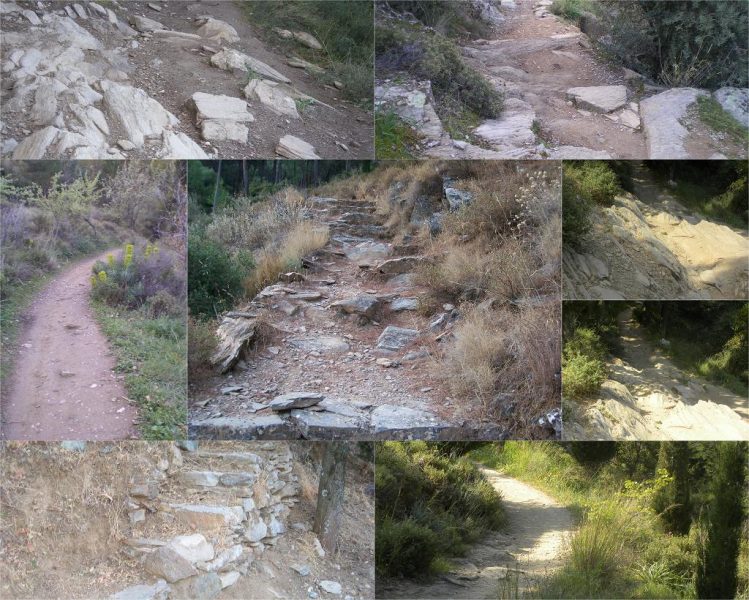 Collage Hymettus trails