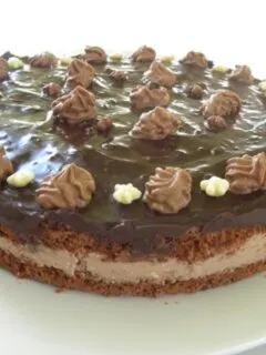 Chocolate mocha cake image