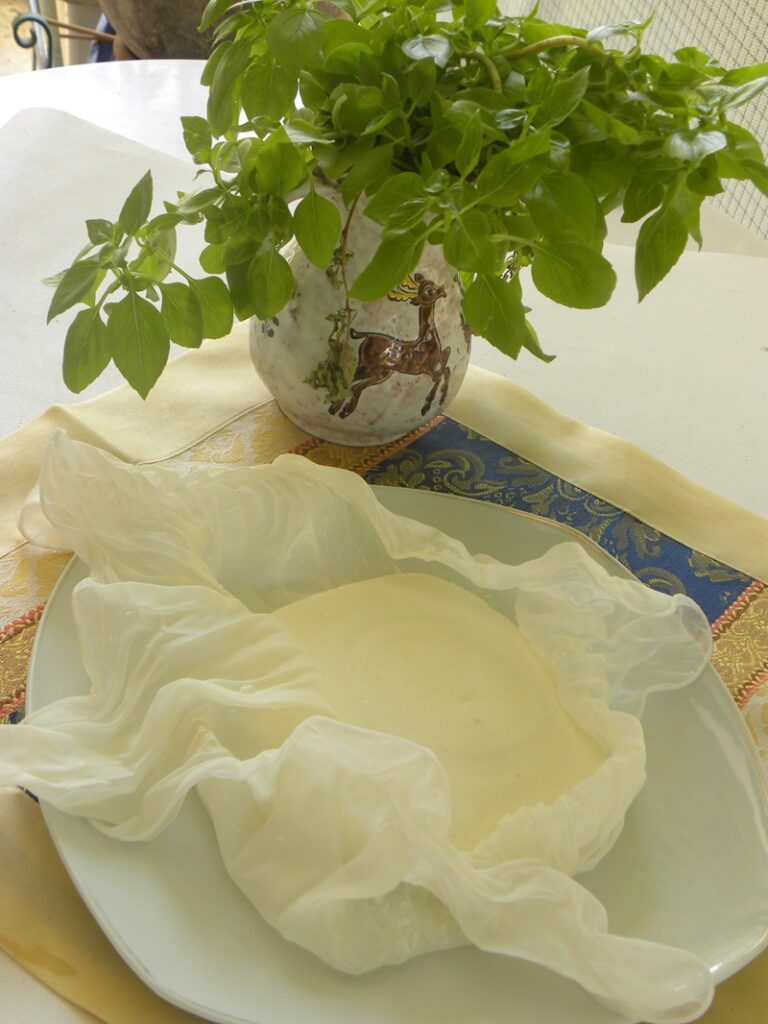 Homemade paneer cheese image.