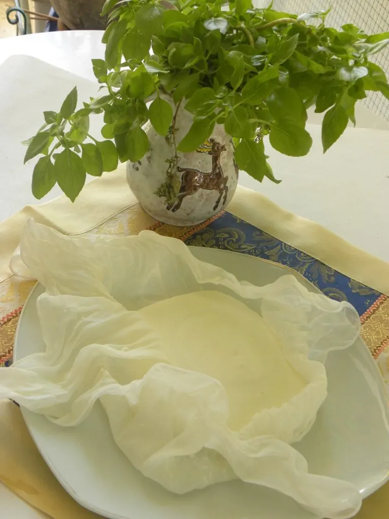 paneer cheese Homemade paneer cheese image.