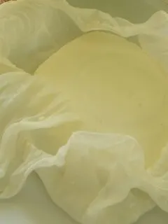 Homemade paneer cheese picture
