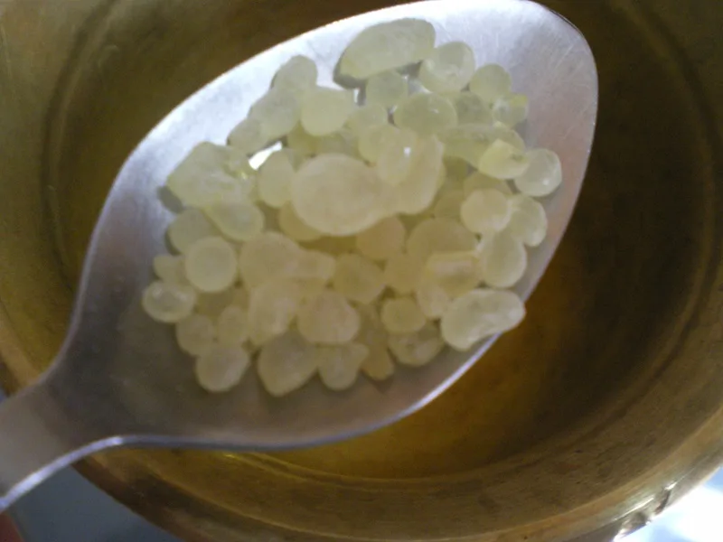 mastic gum mastic resins in a spoon image