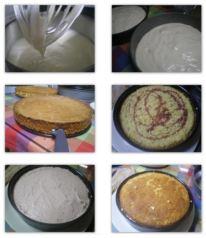 Collage 1 Making sponge image