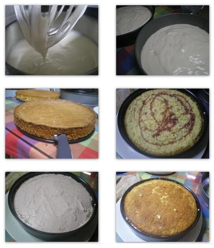 Collage 1 Making sponge image