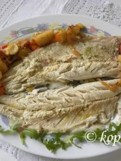 Pestrofa trout