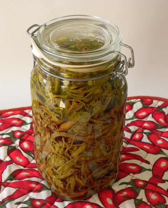 Pickled Vineyard Shoots