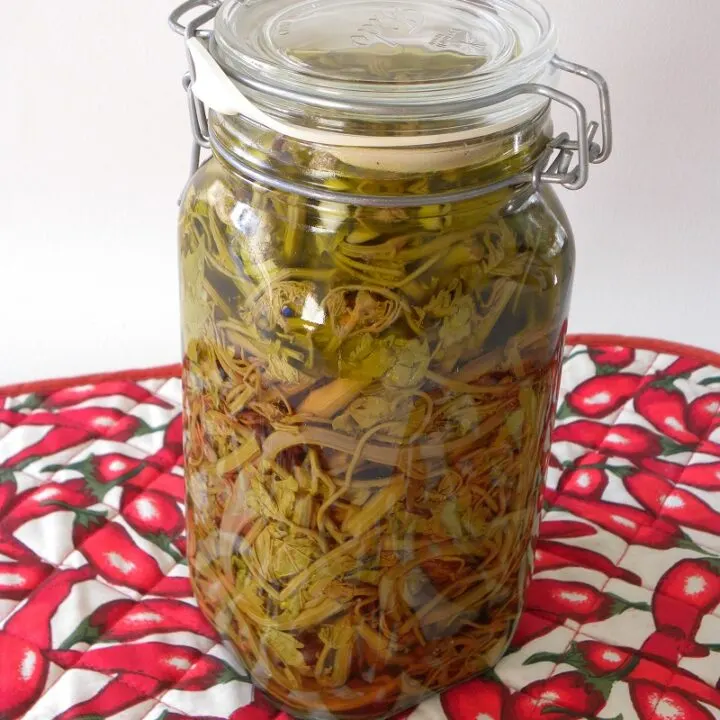 pickled grape shoots ampelokorfades toursi image