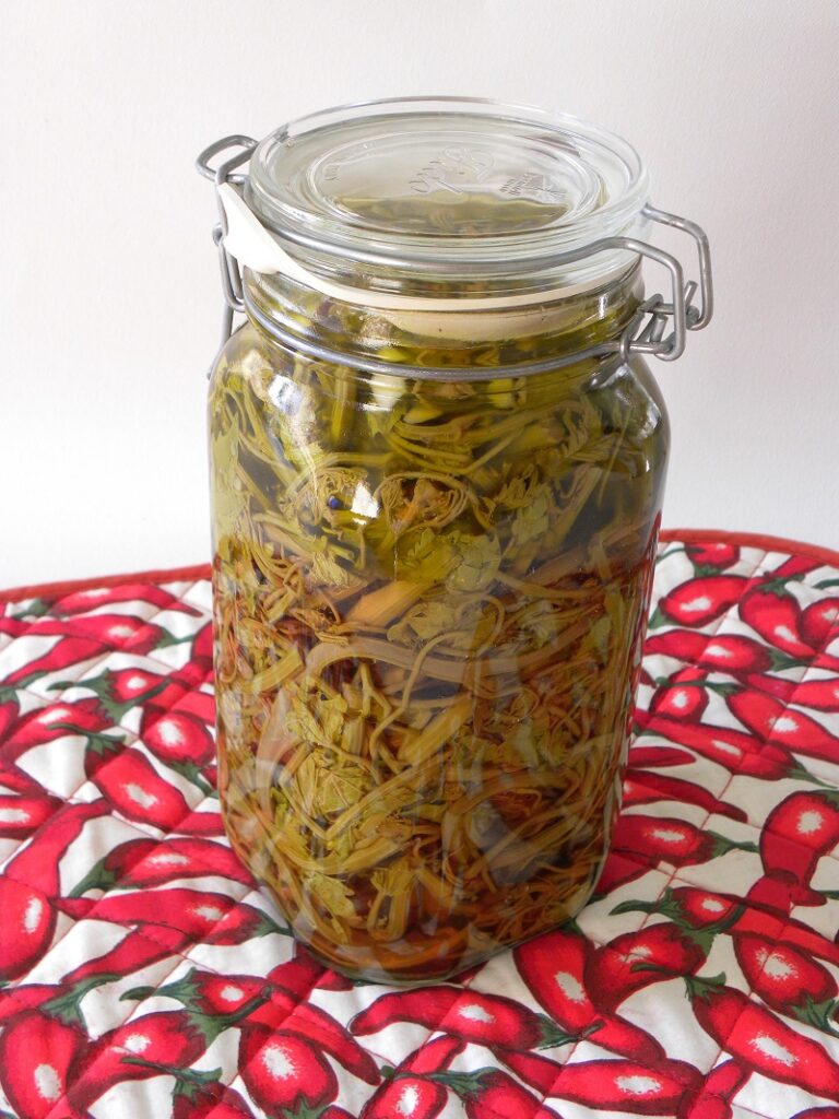 pickled grape shoots ampelokorfades toursi image