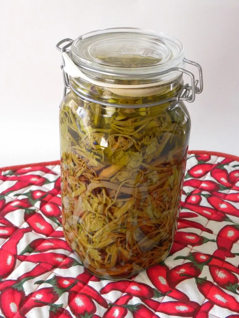 pickled grape shoots ampelokorfades toursi image