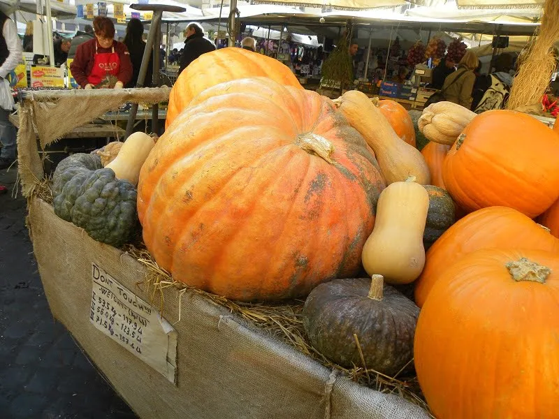 pumpkins picture