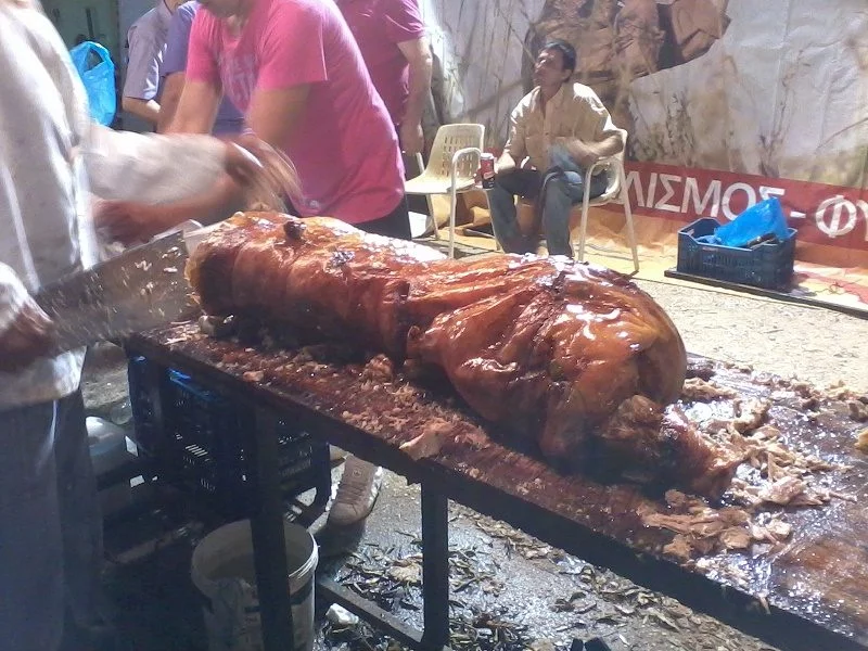 Suckling piglet image