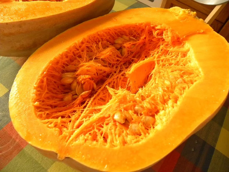 butternut squash butternut squash cut image