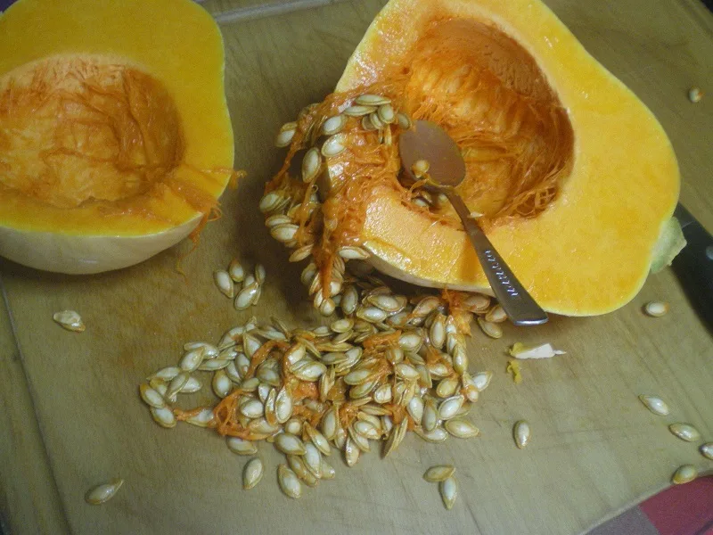 Butternut squash. markedJPG butternut squash cut with seeds inside image