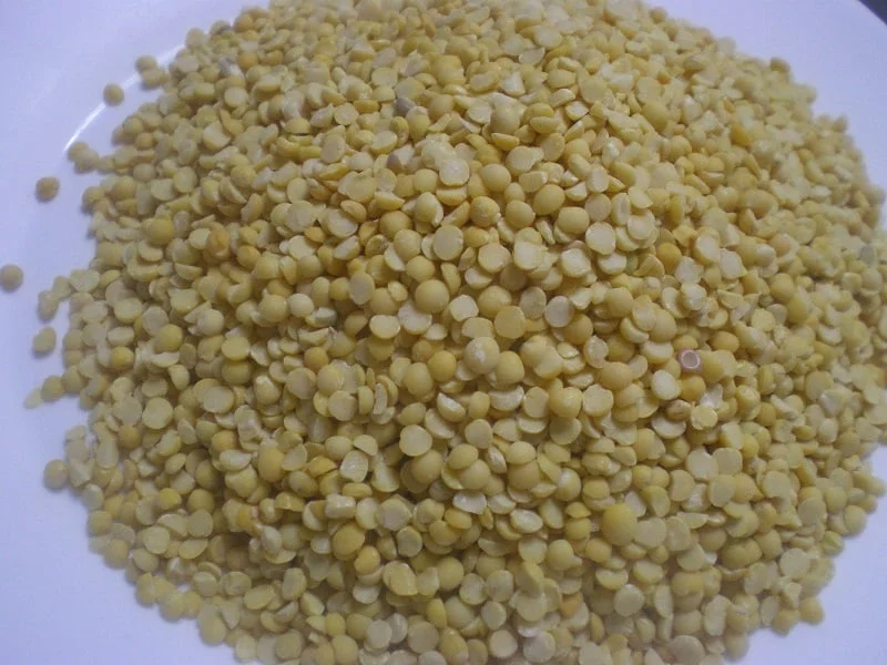 fava image