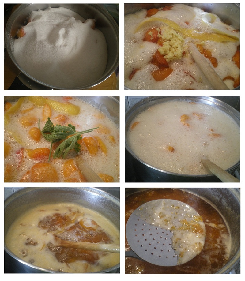 Collage making Apricot Jam image