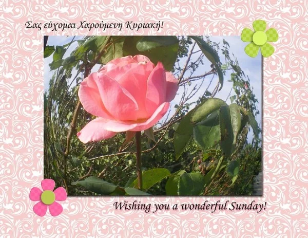 Happy Sunday-001