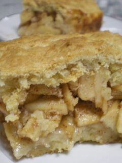 A piece of old fashioned apple pie image