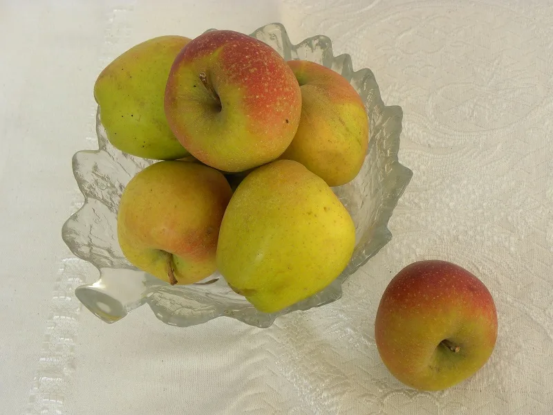 Mila Tripoleos Russet Apples image