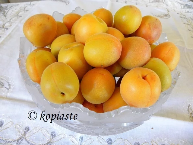 Aurora apricots