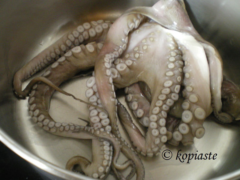 Fresh octopus