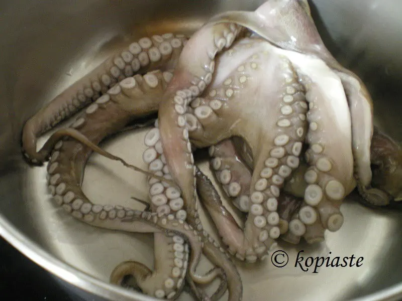 Fresh octopus