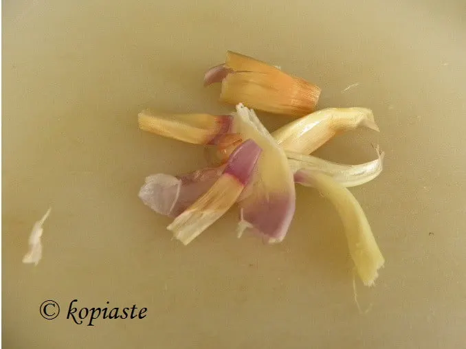 Onion inner part