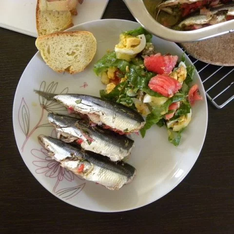 Anchovies or gavros gemistos image
