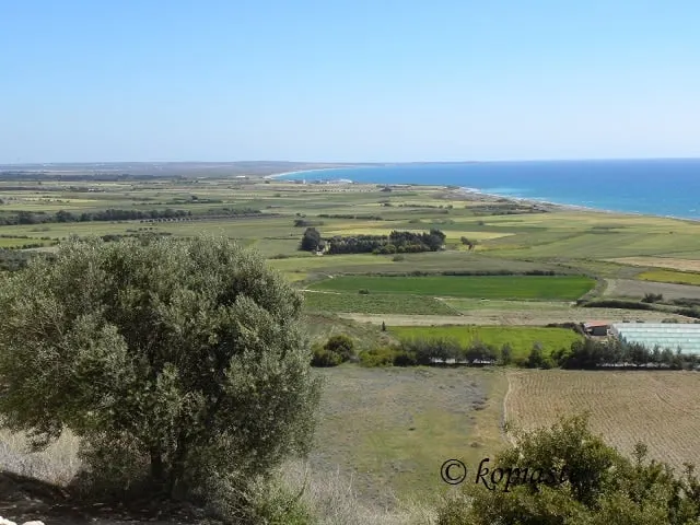 Coast of Akrotiri from Kourion