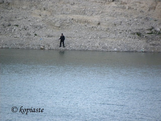 fishing
