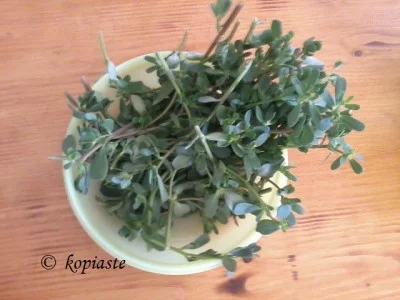 Purslane for pickling