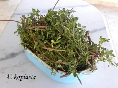 Washed purslane