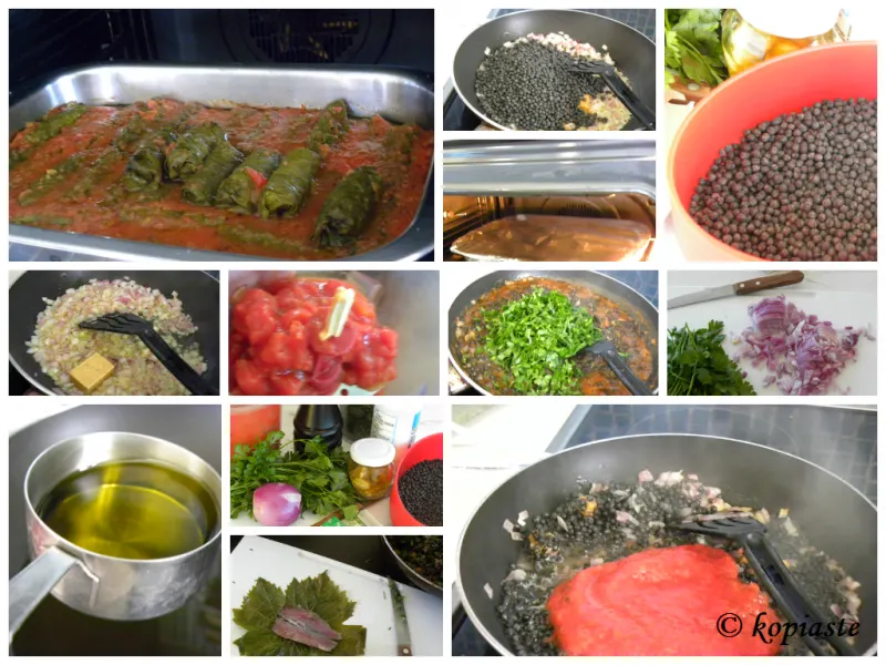 Collage Dolmades with sardines