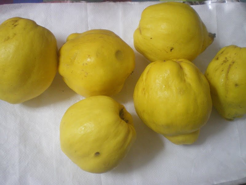 quinces image