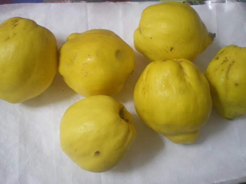 quinces image