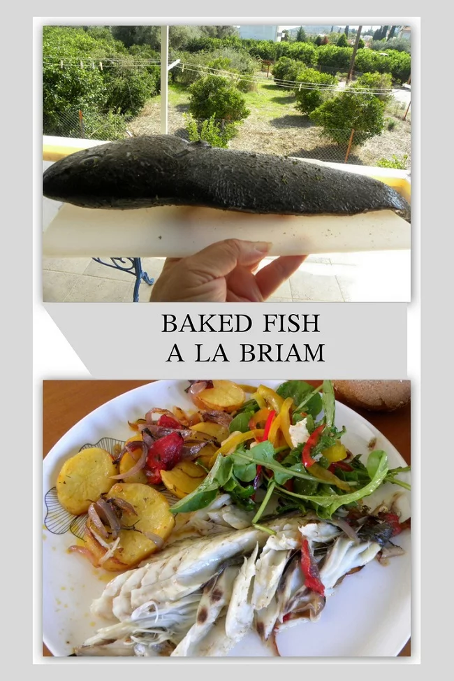 Baked fish a la Briam image