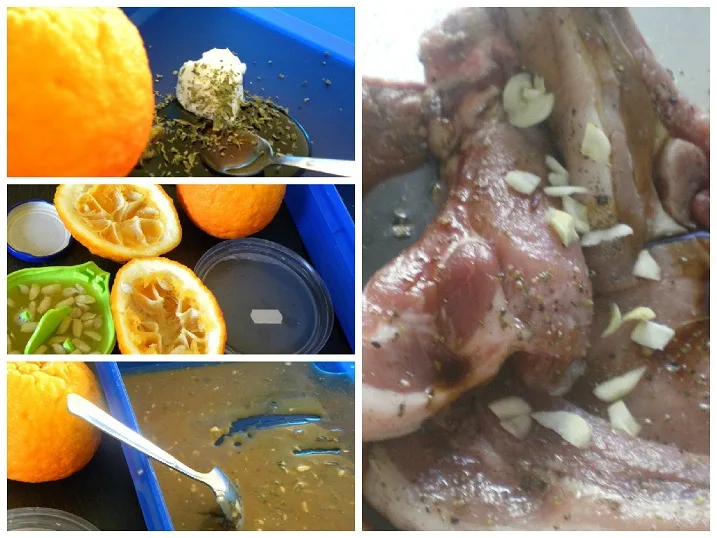 collage marinated pork chops