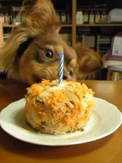 Dias' first Carrot Cake