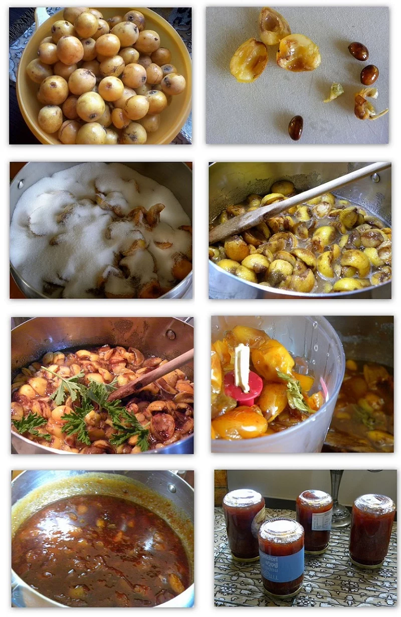 collage Loquat jam image