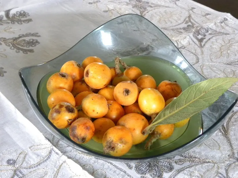 fresh loquats image