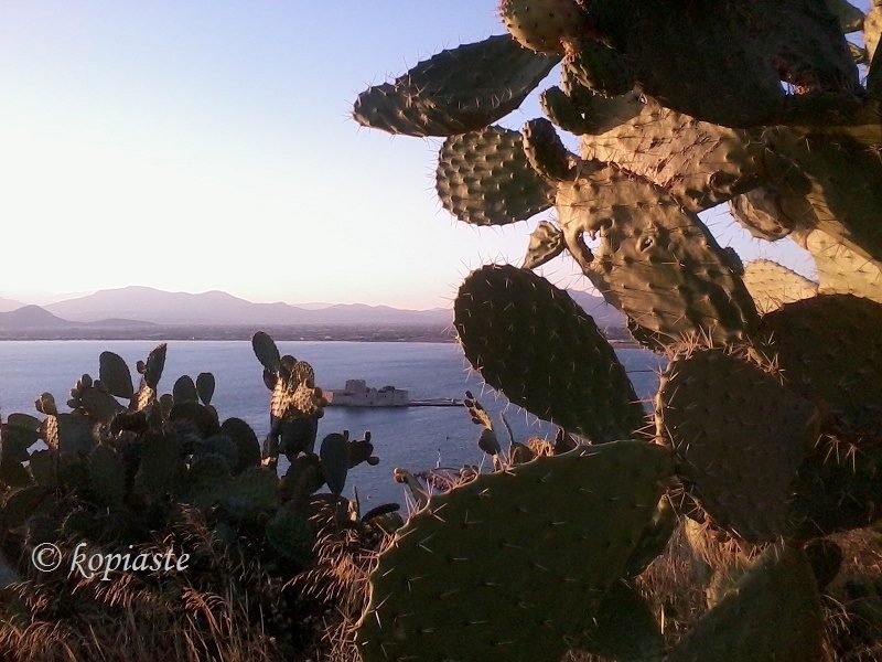 prickly-pears-and-bourdji