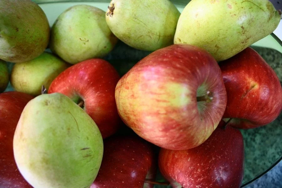 pears and apples image