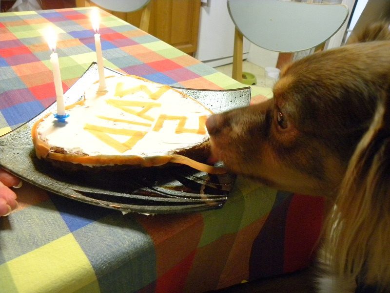 Dias ready to eat his cake