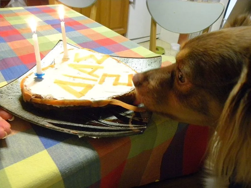 Dias ready to eat his cake
