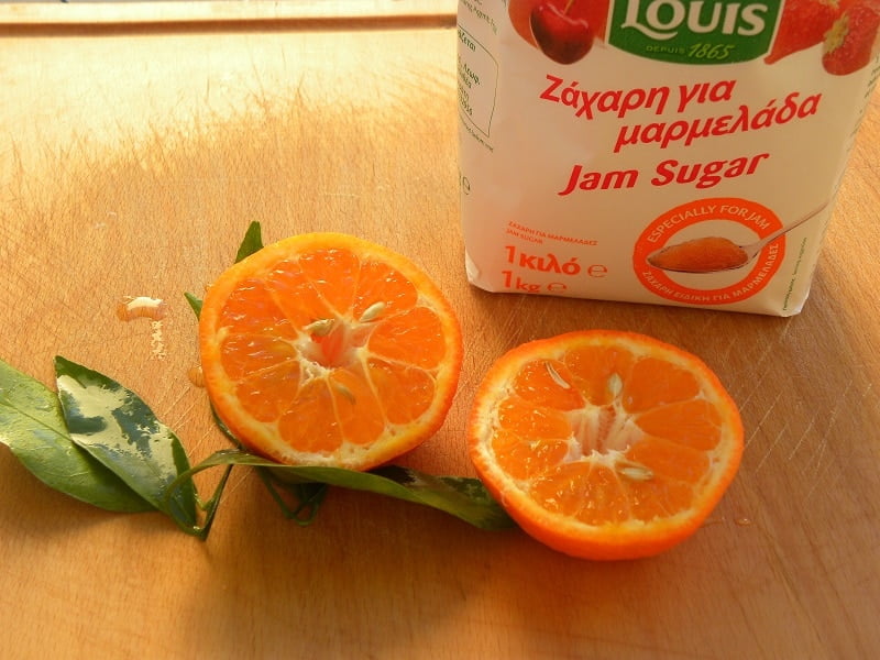 Mandarin and Jam sugar image