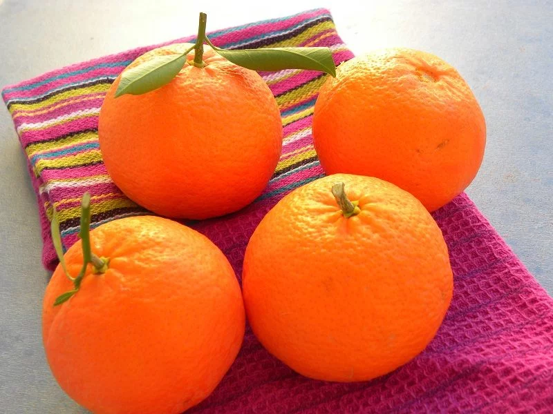 Mandarins from our garden image