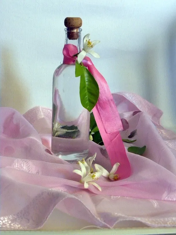 anthonero citrus blossom water image