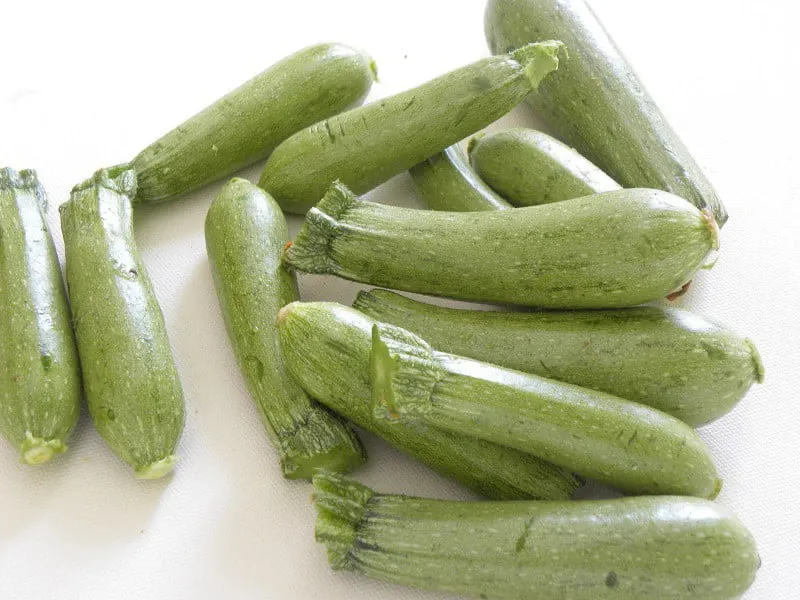 medium sized zucchini picture