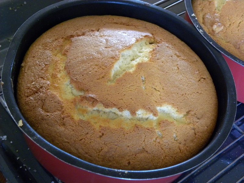 Angel Food Cake Image