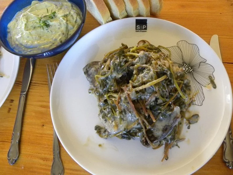 Katsikaki me glistrida goat and purslane image