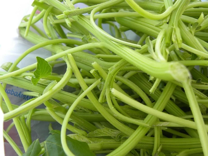 stems of vlita image